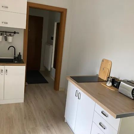 W Parku Planty 埃尔布隆格