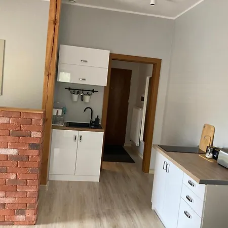 公寓 W Parku Planty *