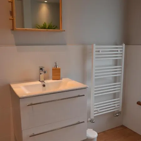 公寓 W Parku Planty 埃尔布隆格