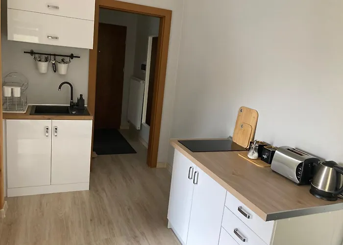 W Parku Planty Elbląg