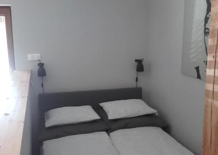 Apartament W Parku Planty Elbląg